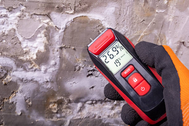 Best Mold Testing  in Tsaile, AZ