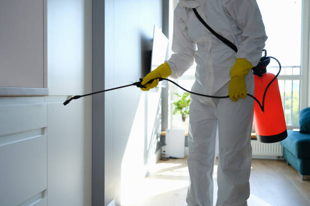 Best Mold Cleaning Services  in Tsaile, AZ